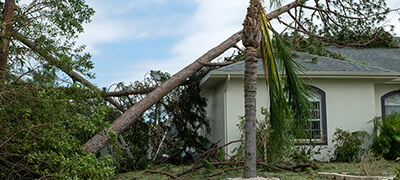 Disaster Recovery Projects